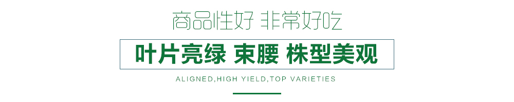 1557821512308960.jpg 詳情頁(yè)12.jpg