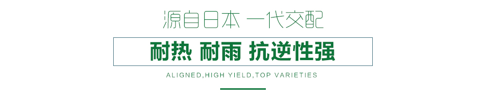 1557883432673417.jpg 詳情頁11.jpg