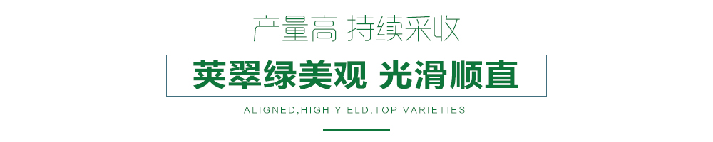 1557978099965357.jpg 詳情頁24.jpg