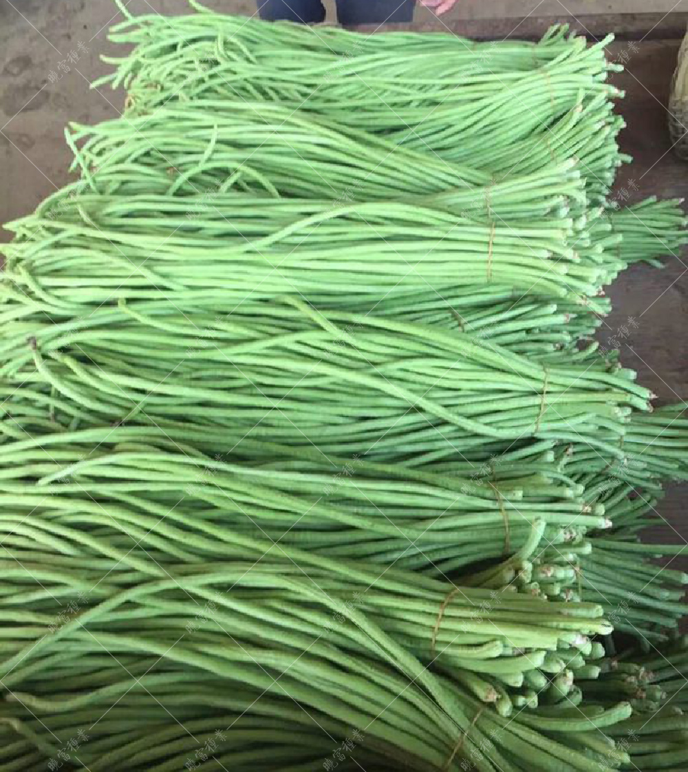 1557994067633260.jpg 52.jpg