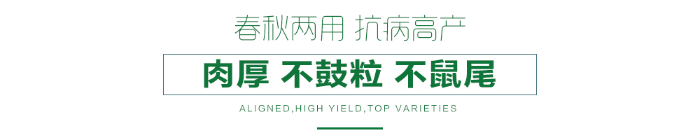 1558056259205092.jpg 詳情頁(yè)21.jpg