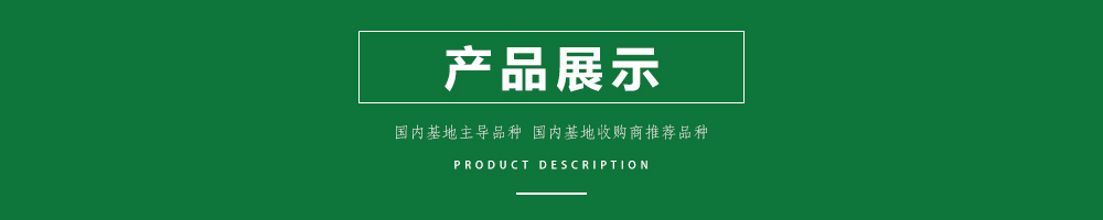 1558057491937472.jpg 00新產(chǎn)品.jpg