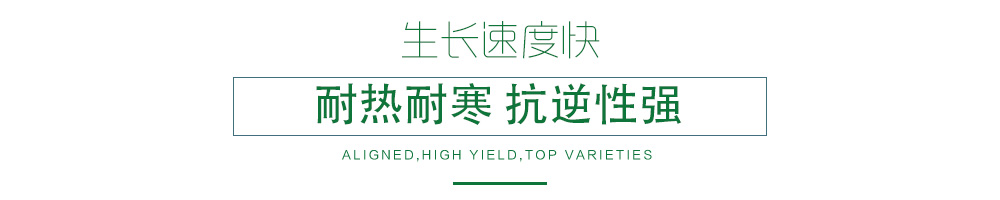 1602150559336621.jpg 03.jpg